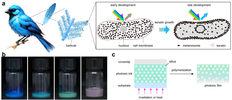 2026-03-18 141335(1).png